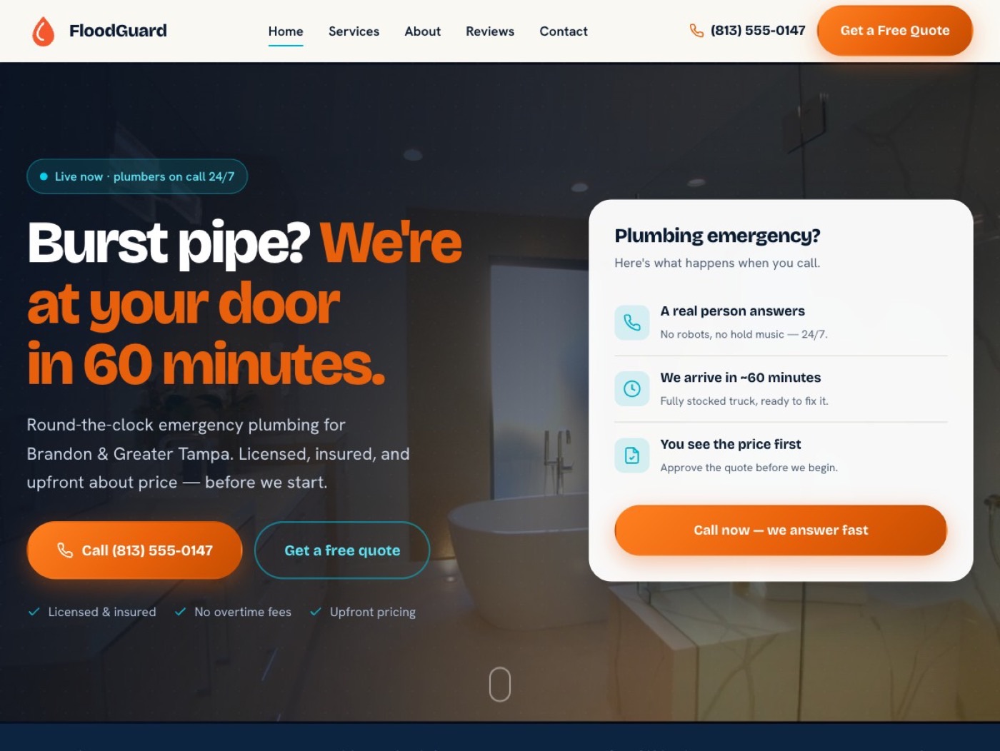 Live preview of the FloodGuard Plumbing website for sale