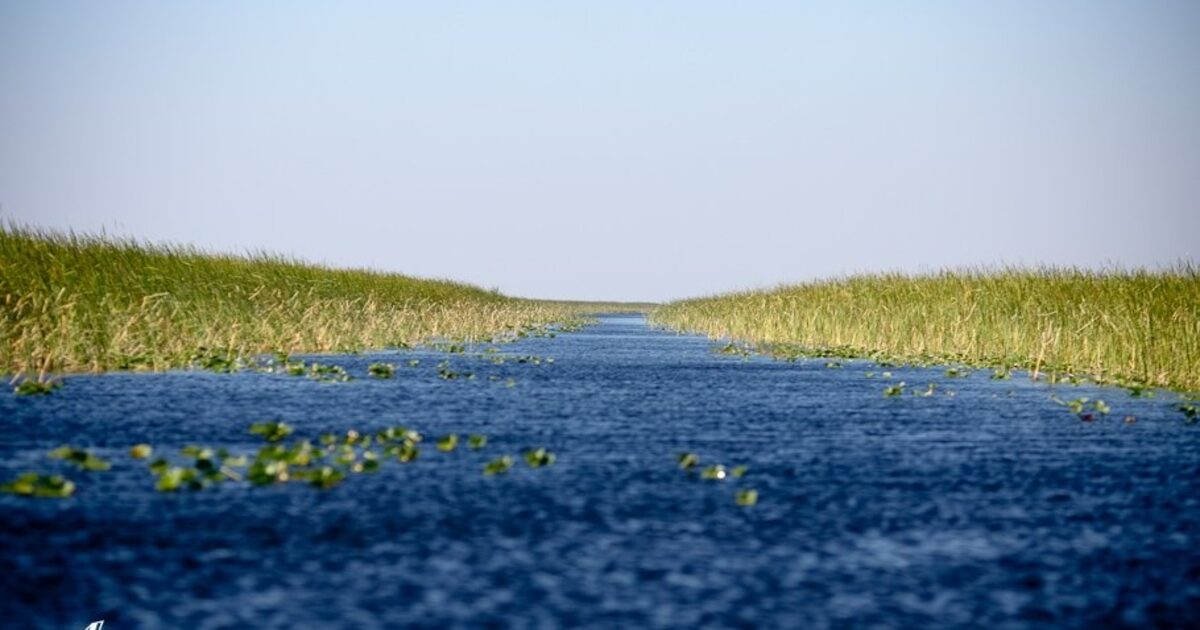 Everglades wetland, cleared channel cutting through raw sawgrass — a built path through unstructured terrain