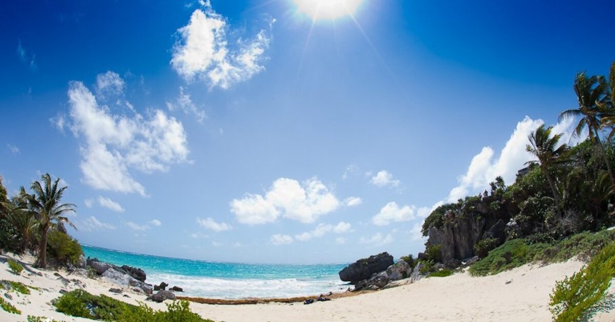 A wide-angle view of a Caribbean beach with palms, sun and open sky