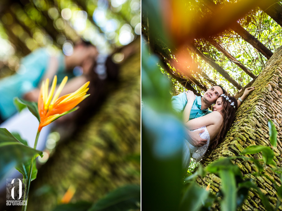 Fairchild Tropical Botanic Garden Engagement-005