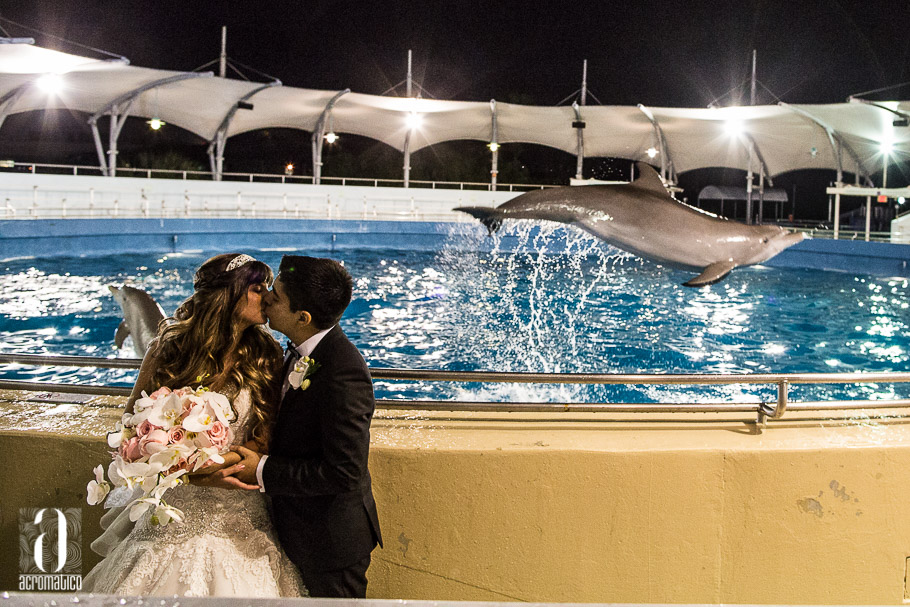 Miami Seaquarium Wedding-047