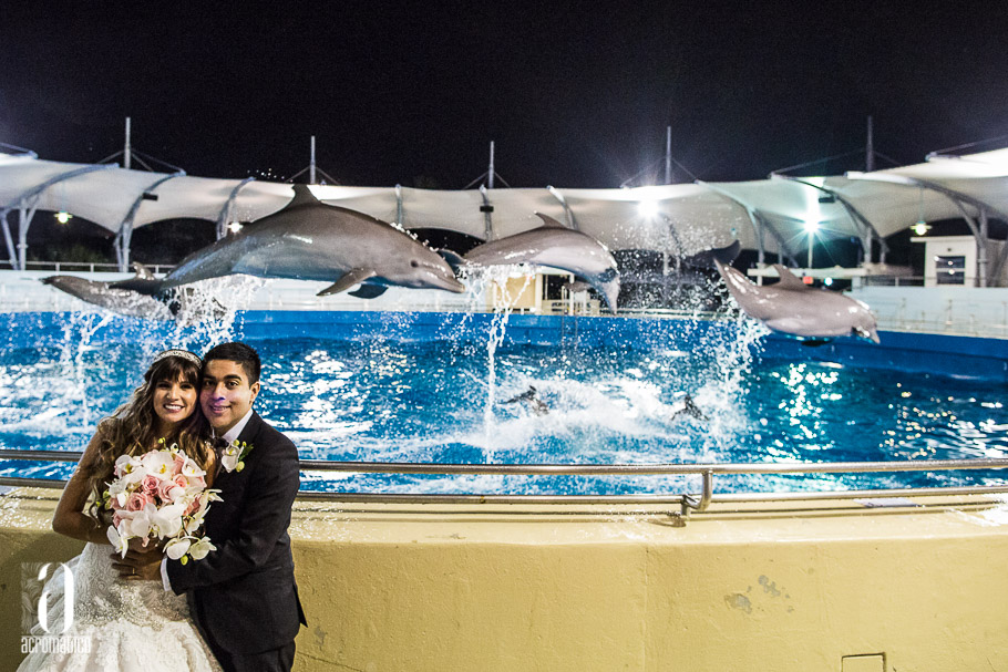 Miami Seaquarium Wedding-048