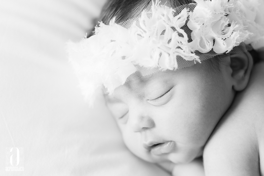 Newborn Photography -004