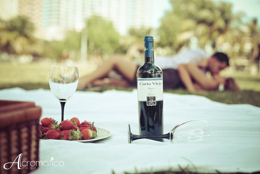 margaret pace park wynwood cafeina lounge engagement session-3